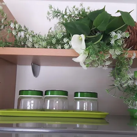 Seaview & Balcony Petra Διαμέρισμα Jadrija