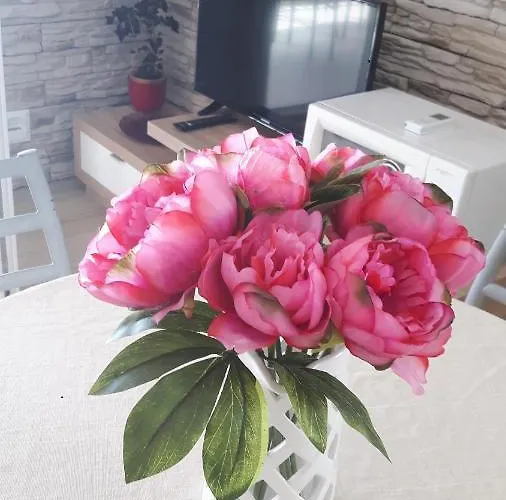 Seaview&balcony Petra * Jadrija